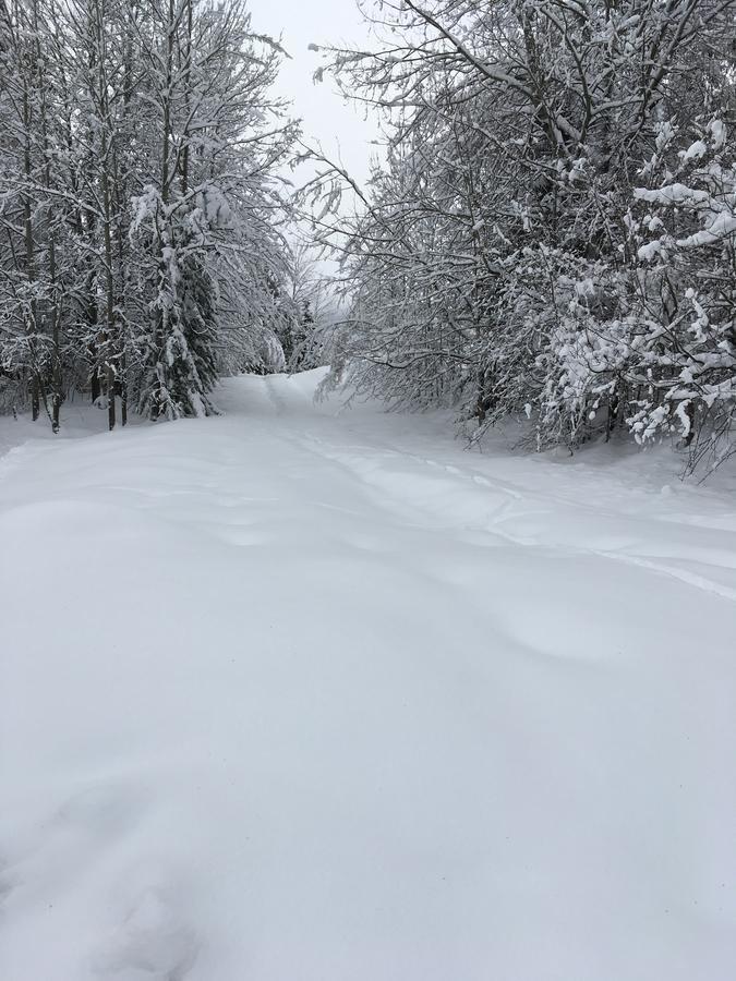 Auberge De Violaine Le Monêtier-les-Bains Buitenkant foto