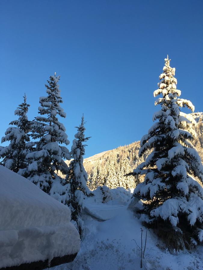 Auberge De Violaine Le Monêtier-les-Bains Buitenkant foto